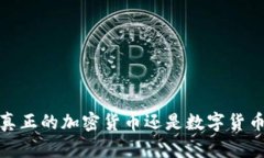 维卡币:真正的加密货币还是数字货币的误区?