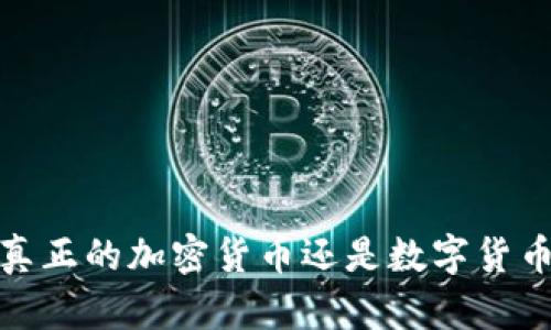 维卡币:真正的加密货币还是数字货币的误区?