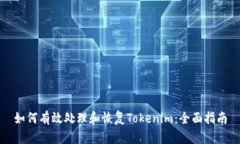 如何有效处理和恢复Tokenim：全面指南