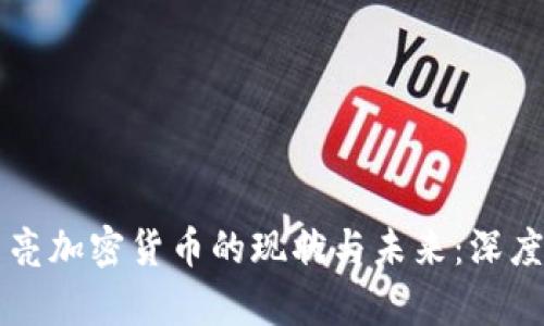 红月亮加密货币的现状与未来:深度解析