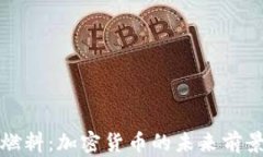 比特币燃料:加密货币的未来前景与挑战