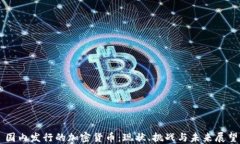 国内发行的加密货币:现状、挑战与未来展望