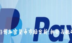 彭博加密货币市场分析:机会与挑战