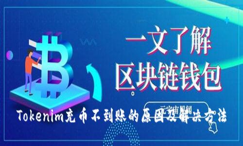Tokenim充币不到账的原因及解决方法