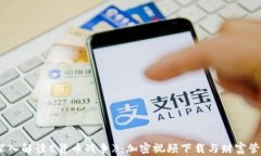 bxiaoti深入解读《货币战争》:加密视频下载与财