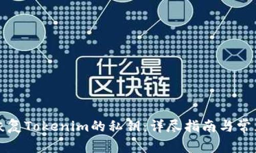 如何有效恢复Tokenim的私钥:详尽指南与常见问题解答