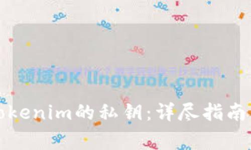 如何有效恢复Tokenim的私钥:详尽指南与常见问题解答