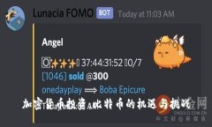 加密货币投资：比特币的机遇与挑战