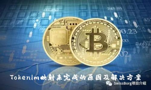 Tokenim映射未完成的原因及解决方案