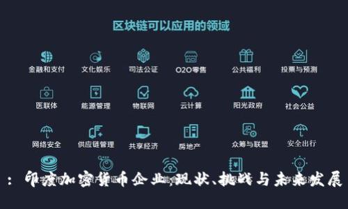 : 印度加密货币企业：现状、挑战与未来发展