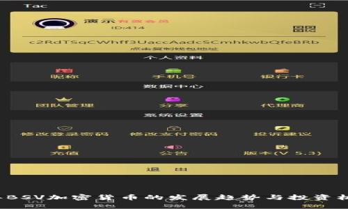 2023年BSV加密货币的发展趋势与投资机会分析