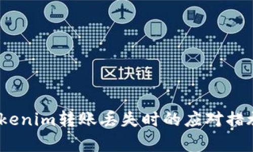 深入解析：Tokenim转账丢失时的应对措施与解决方案