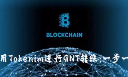 如何使用Tokenim进行GNT转账：一步一步详解
