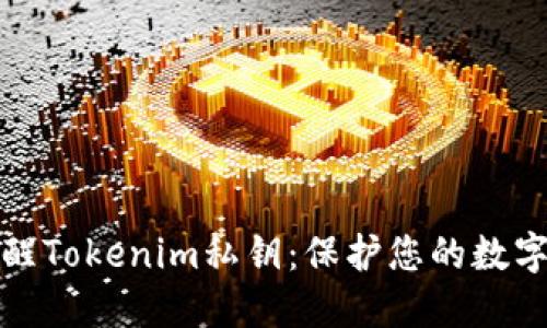 如何安全唤醒Tokenim私钥：保护您的数字资产与隐私
