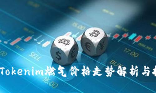 2023年Tokenim燃气价格走势解析与投资建议