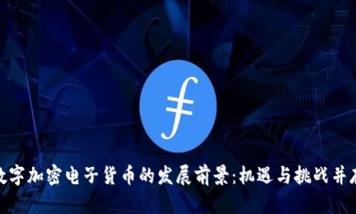 数字加密电子货币的发展前景：机遇与挑战并存