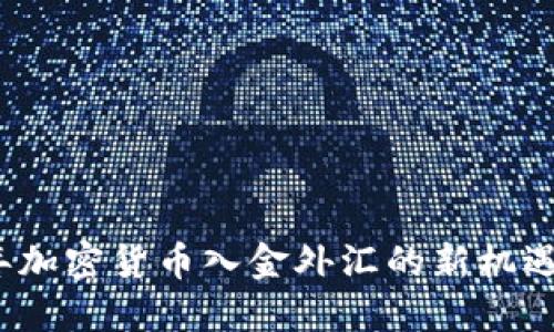 2023年加密货币入金外汇的新机遇与挑战