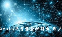 突发事件：Tokenim平台资金被转出，用户应如何应