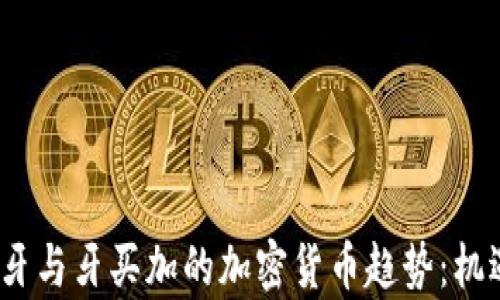 
2023年葡萄牙与牙买加的加密货币趋势：机遇与挑战并存