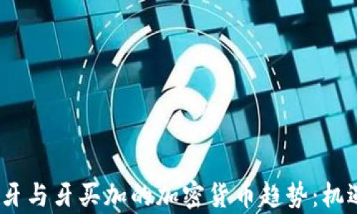 
2023年葡萄牙与牙买加的加密货币趋势：机遇与挑战并存
