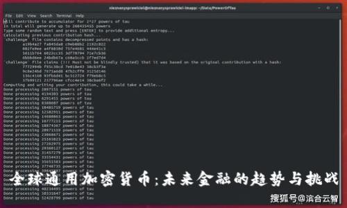 全球通用加密货币：未来金融的趋势与挑战