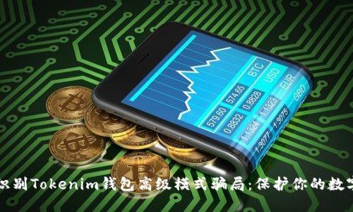 如何识别Tokenim钱包高级模式骗局：保护你的数字资产