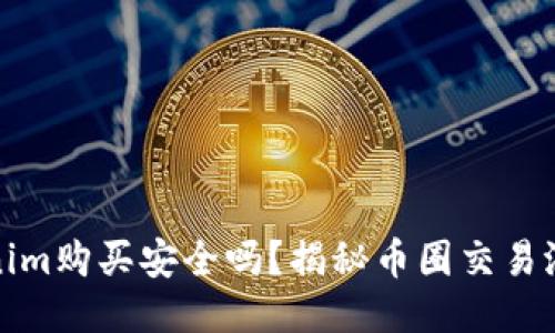 Tokenim购买安全吗？揭秘币圈交易潜规则