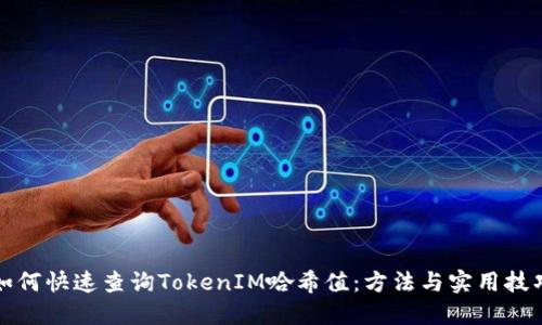 如何快速查询TokenIM哈希值：方法与实用技巧