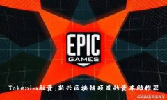 Tokenim融资：新兴区块链项目的资本助推器