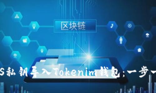 如何将EOS私钥导入Tokenim钱包：一步一步的指南