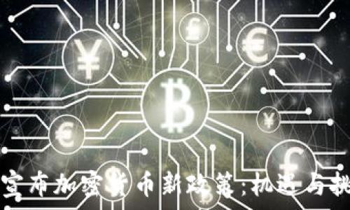 乌克兰宣布加密货币新政策:机遇与挑战解析