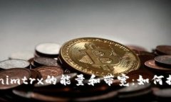 深入解析tokenimtrx的能量和带宽：如何提升区块链