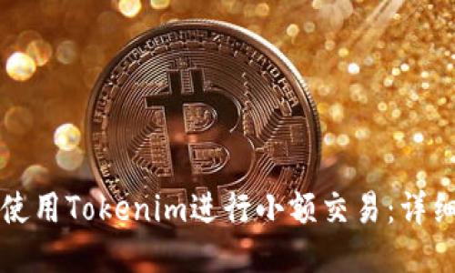 如何使用Tokenim进行小额交易：详细指南