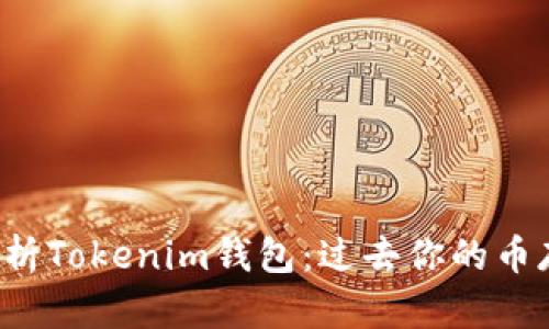 深入解析Tokenim钱包：过去你的币存在哪？