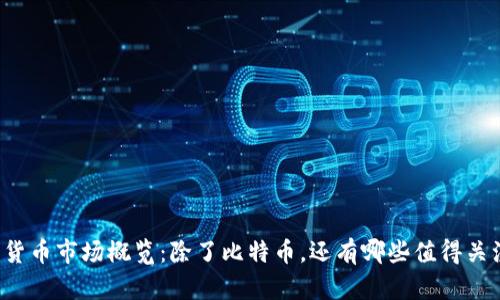 2023年加密货币市场概览：除了比特币，还有哪些值得关注的数字货币
