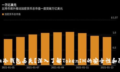 如何防止冷钱包丢失？深入了解TokenIM的安全性和防护措施
