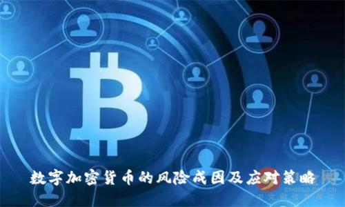 数字加密货币的风险成因及应对策略