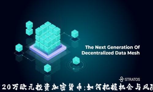 
120万欧元投资加密货币：如何把握机会与风险