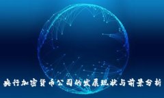 央行加密货币公司的发展现状与前景分析