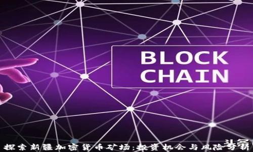 
探索新疆加密货币矿场：投资机会与风险分析