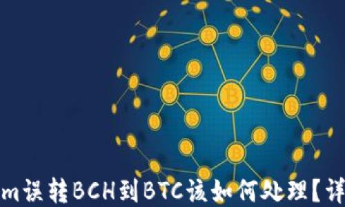 
Tokenim误转BCH到BTC该如何处理？详细指南