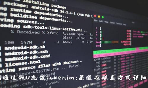 如何通过假U充值Tokenim：渠道及联系方式详细指南