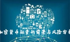 加密货币融资的前景与风险分析