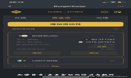 加密货币：未来金融的潜力与挑战