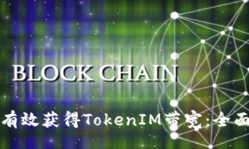 code
如何有效获得TokenIM带宽：全面指南